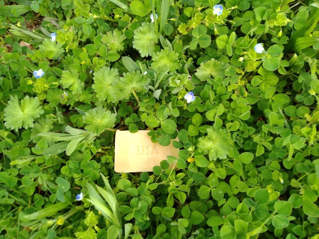 Frohe Ostern wünscht der SEIFENBOTSCHAFTER